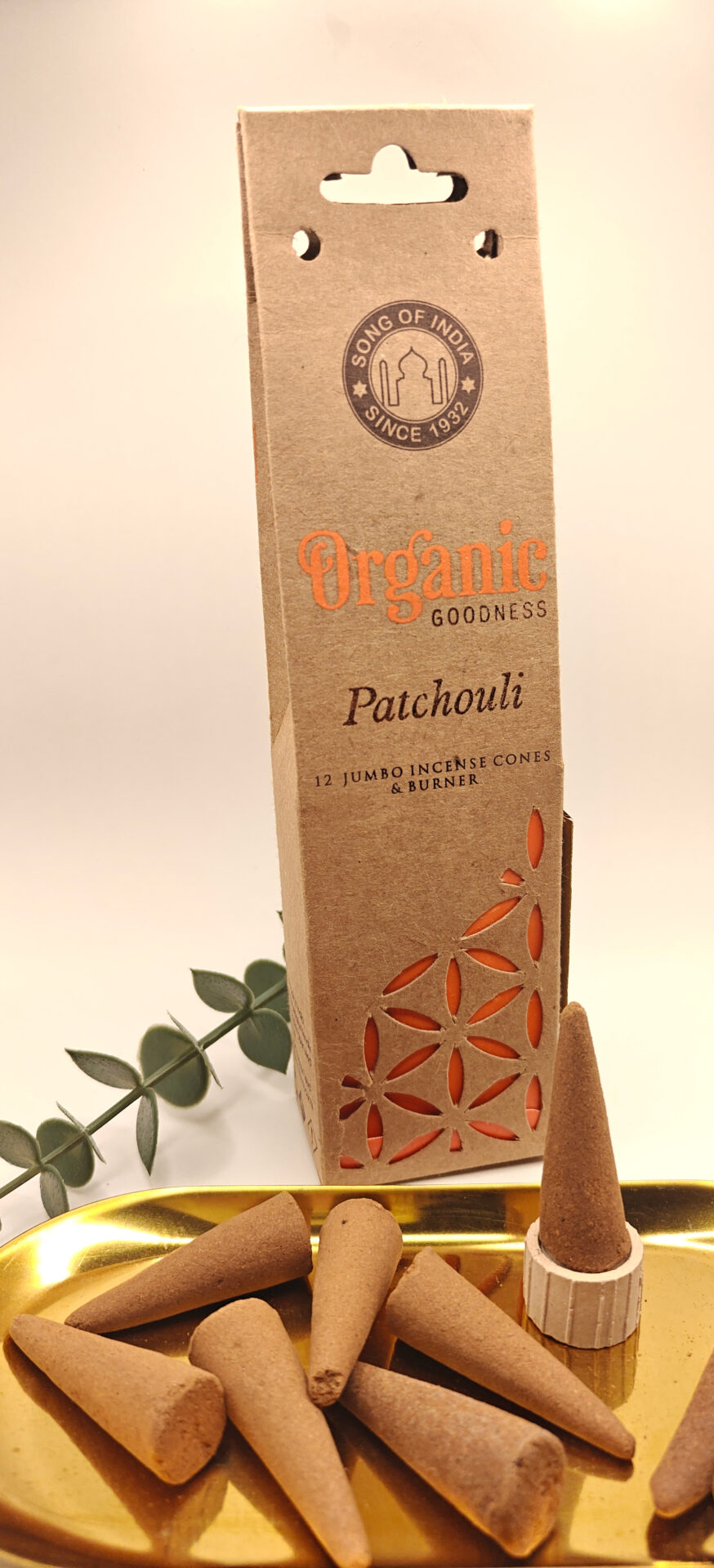 Räucherkegel Patchouli – Organic Goodness | Song of India